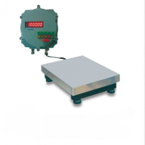 Fireproof Floor Scale CTG-150F