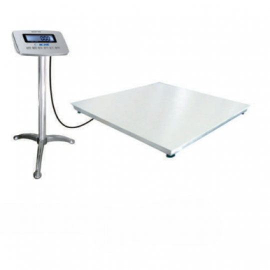 Floor Scale 1 Ton CTG-1T4LS